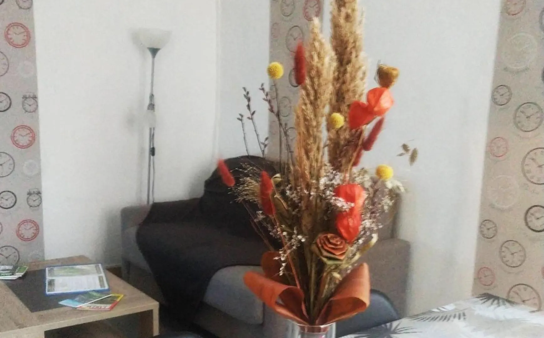 Centre Ville Millau Appartement 0*,